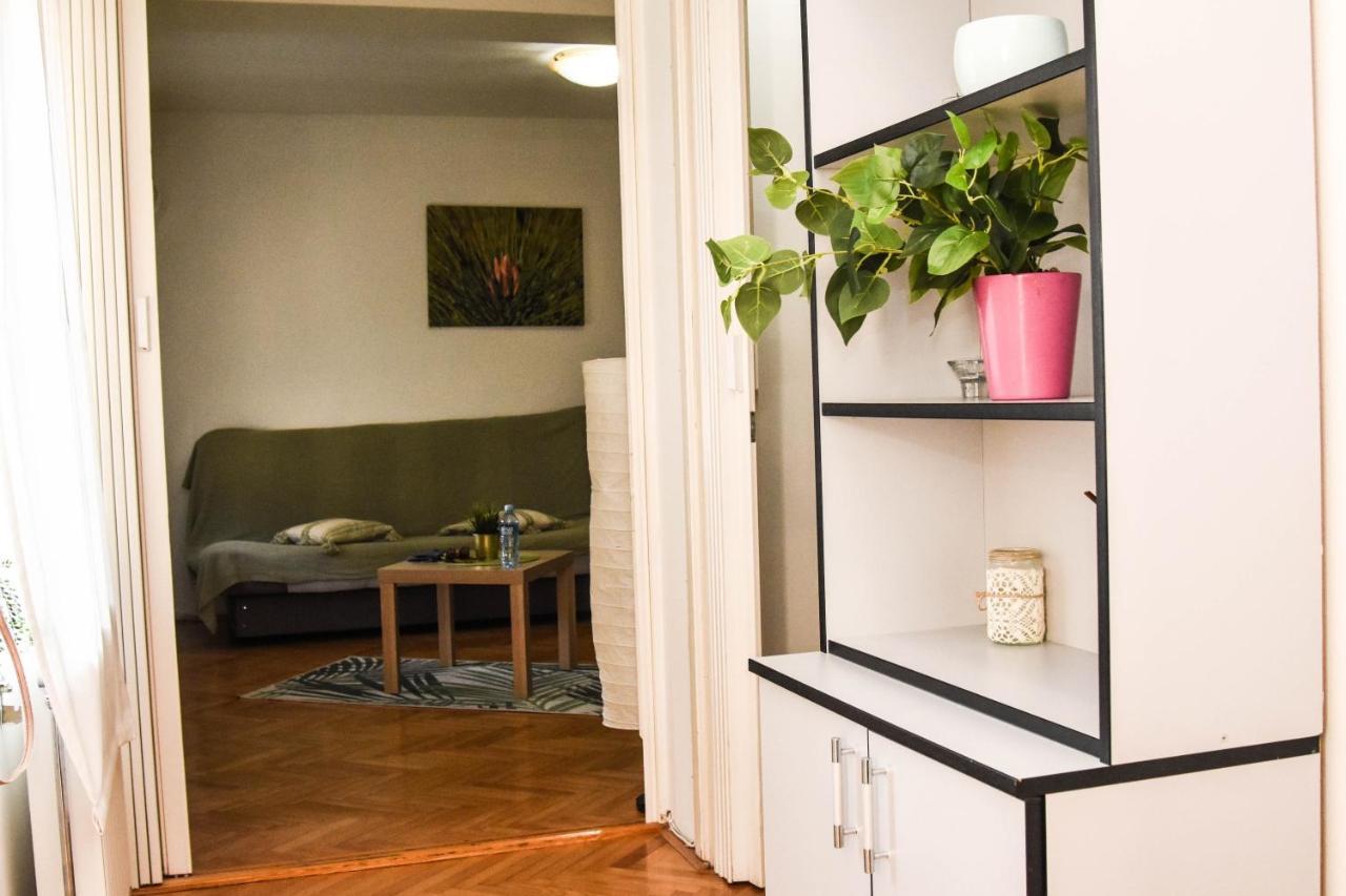 נובי סאד Apartment Kiwi מראה חיצוני תמונה