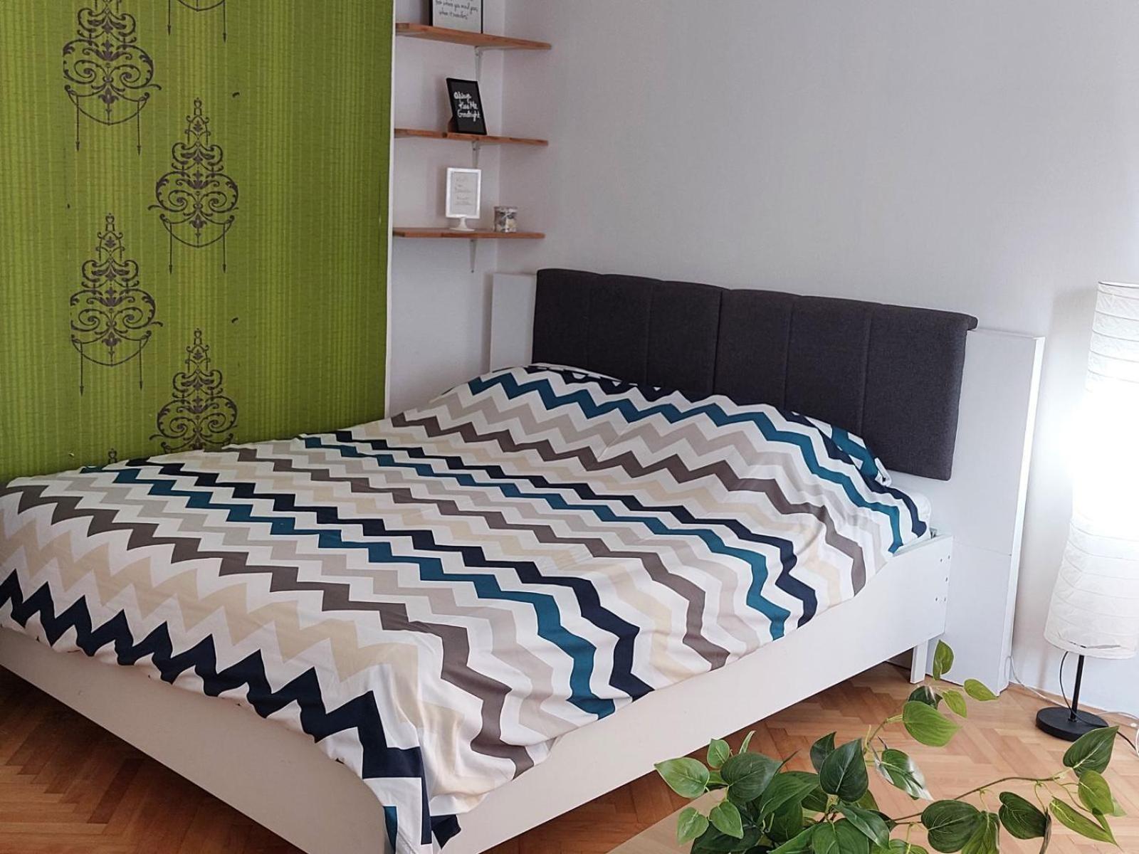 נובי סאד Apartment Kiwi מראה חיצוני תמונה